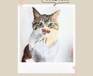 ペットの似顔絵描きます オーダーメイドでペットの似顔絵を水彩画で提供します。 イメージ4