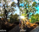 素敵な1枚をもっと素敵に！写真加工致します あなたのお気に入りの写真、一緒に作ってみませんか？ イメージ5
