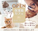 バナーやヘッダーなど各種WEB画像制作いたします 女性ならではの視点で、ターゲットの心を掴むデザインを。 イメージ6