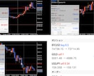あなたのFXトレード手法パフォーマンスを改善します 複数の通貨ペアを負担なく同時運用も可能に イメージ4