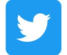 インスタ、TwitterのSNS集客コンサルします SNS集客ってどうやるの？から集客の仕方までコンサルします。 イメージ1