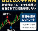 半裁量EA＆サインツールのセットになります 裁量の自由度を保ちながら、EAの正確さを取り入れたい方へ イメージ3