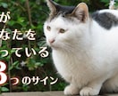 Youtubeサムネイルを制作いたします Youtube動画の「顔」を作りましょう！ イメージ2