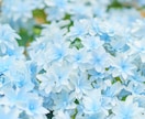 強迫性障害でつらい方＊30分しっかり寄り添います 強迫性障害でお悩みの方＊もうあなた一人じゃありませんよ✨ イメージ10