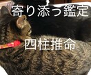 2026年!あなたの運勢を四柱推命で占います 大運と年運からあなただけの運勢を導き出します☆.。.:*・° イメージ1