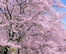 自主練ワーク！自分軸を見つけるお手伝いをします 心の中を見つめて、自分軸を見つけてみませんか イメージ9