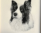 犬•猫•ペットの似顔絵を鉛筆画で丁寧に描きます 【先着3名様限定】今だけ特別価格で受付いたします イメージ5