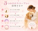 ペットロス【命日鑑定】を西洋占星術で読み解きます あの子が最後にあなたに伝えたかったメッセージ/ペットの気持ち イメージ6