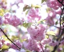 コラム書きます 健康、介護、結婚、離婚、仕事、育児、公務員、病院、親子留学 イメージ1