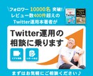 あなたのTwitter運用のお悩みを解決します フォロワーの増やし方、ツイートの伸ばし方等何でもOK イメージ1