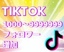 TikTokフォロワー2000人〜増やします TikTokフォロワー増加！宣伝・拡散！ イメージ4