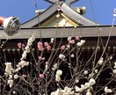 日常の些細な事、悩み、何でもお聞きします 心の中の((もやもや))をお話しください。 イメージ5