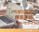 実績者によるSNS丸投げプラン実施します Instagram/TikTok 同時運用 イメージ1