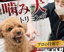 素材カットとフルテロップを低価格で承ります 編集の土台作りを丁寧かつ迅速に対応します イメージ8