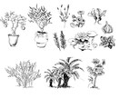 植物を使った壁紙やイラストを作成します あなたの好きな植物を絵にしてみませんか？ イメージ1