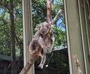オーストラリア生活についての記事書きます オーストラリア在住者が執筆！仕事・暮らしのリアルな体験談記事 イメージ5