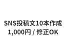 SNS投稿文を10本作成します 初心者の方も安心シンプルで読みやすいSNS投稿を作成します イメージ1