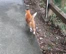 雑談から深刻な悩みまで☆優しく傾聴します 話せて良かったって思って貰えるようにアナタの心に寄り添います イメージ4