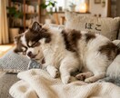愛犬・愛猫の紹介文を作成します 愛犬・愛猫の紹介文を作成写真とエピソード魅力を文章に イメージ3