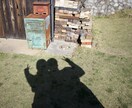 マッチングアプリのコツを伝授します 写真、自己紹介文、メッセージのやり取りのコツなんでも教えます イメージ1