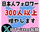 twitter日本人フォロワー300人〜増やします X・twitter 日本人アクティブフォロワーを増やします イメージ1