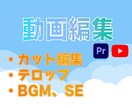 YouTube向けに編集します テンポの良い動画で視聴者を退屈させません イメージ1