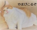 誰かいないかな？と思った時に、やまびこします ふと話したい時ってありませんか？　そんな時に投げかけて下さい イメージ1