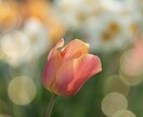 今すぐ話したい！そっとあなたに優しく寄り添います １分からでもお気軽にどうぞ♪何でも話していいよ イメージ6