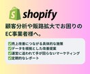 Shopifyマーケ支援｜売上改善相談のります データ分析で伸び悩むEC事業者を救いたい！顧客分析・販路拡大 イメージ1