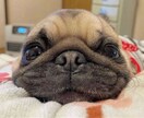 なんでもお話し聞きます 何となく誰かに聞いて欲しい、相談したい方いませんか。 イメージ1