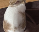 親の介護どうしたらいいか相談のります 親の介護と仕事両立どうしたらいいか迷ってませんか？ イメージ2