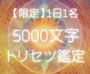5000文字であなただけのトリセツを鑑定します 1日1名限定✨あなたの全てを知る。本来の力を覚醒させたい人用 イメージ1