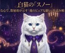 占星術×数秘術で導きます 占星術×数秘術で導く あなたの恋・仕事の突破口」​ イメージ4