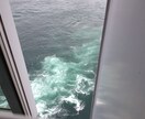 素人が初見で気に入ったものを撮影した物を出品します 素人目線の素材なので違う目線でのPR効果が有ります イメージ10