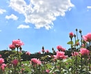 自信持つ為に今向き合うといいところをお伝えします 自分にもっと自信を持ちたい方へ イメージ2