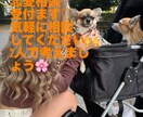 大人目線で恋愛の相談に丁寧にお答えします 経験豊富な視点で落ち着いたアドバイスを文章だけでお届けします イメージ1