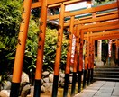 出張写真撮影・写真撮影・レタッチ等代行いたします SONY a7C レンズ SIGMA50mm単焦点1.8 イメージ3