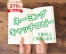 ネーミング、キャッチコピーのアイデア提案いたします 告知PR・タイトル・商品名付けなどを格安で考案・ご提供！ イメージ1