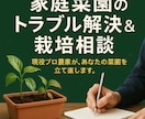 家庭菜園のトラブル解決＆栽培をサポートします 現役プロ農家が、あなたの菜園を立て直します。 イメージ1