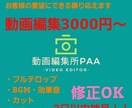 YouTube インスタ動画編集します 長い動画も3日以内納品！お客様のイメージにあった動画を提供 イメージ1
