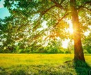 感情の開放を手伝います 嫉妬、恐れ、怒り、羨望などの感情をすっと開放します イメージ1