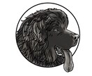 手描き風オリジナルキャラクター作成します 人物、動物、物などキャラクター作成 イメージ7