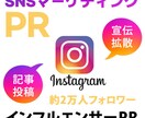 SNS『インスタ』で製品やサービスを宣伝します SNSマーケティング！約2万人フォロワーに宣伝します‼️ イメージ1