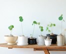 賃貸のインテリアについてどんな相談でも乗ります 大好きでお気に入りなお部屋を『自分で』作ろう！！ イメージ1