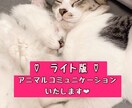 虹組さん✰現役さんからのメッセージを届けます １問＋伝言ライト版♡心を紡ぎ、愛を紡ぐお手伝いをいたします♡ イメージ1