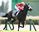 ダービー２頭出し１口馬主が推奨馬５頭を教えます 一口馬主で勝てる馬をキャロット・東サラの２クラブ限定で推奨！ イメージ2
