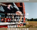 考え方でお悩みの方お話聞きます 子育て・人間関係・パートナーetc..なんでもお悩み聞きます イメージ9