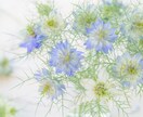 結婚式ご出席お礼の音楽プレゼントいたします AIが新郎新婦の名入れ楽曲を創り歌います。（踊りません） イメージ3