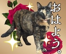 あなたのペットの写真でLINEスタンプ作ります 送っていただいた日常の写真をもとに12個制作！ イメージ2
