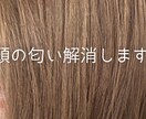 頭の匂いに悩んでいる人へアドバイスします シャンプーで落ちない匂いを自身の経験を元に解消へ導きます イメージ1